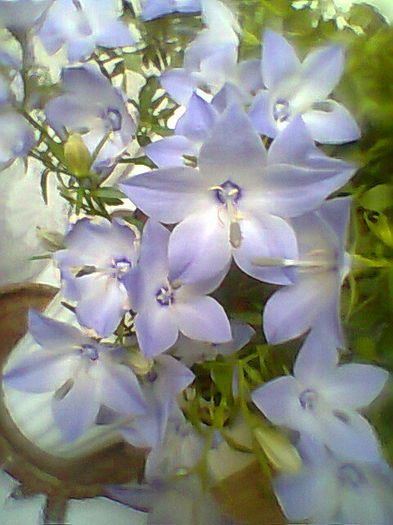 Fotogr.2283