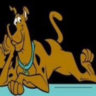 scooby doo (47)