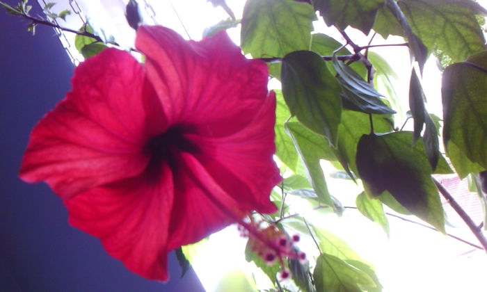 2015-05-22 17.40.06