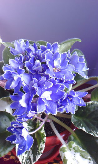 2015-05-22 17.42.54