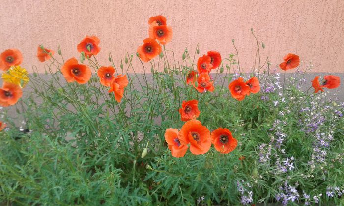 20150515_093040