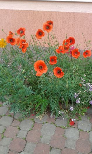 20150515_093028