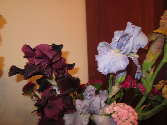 IMG_0909 - Irisi 2015 gradina nr 1