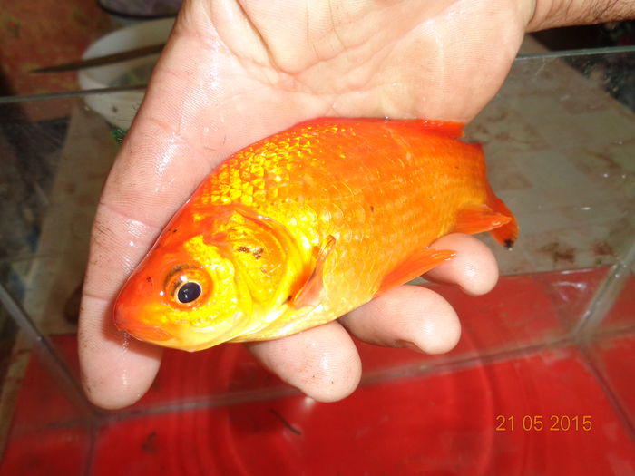 DSC03851