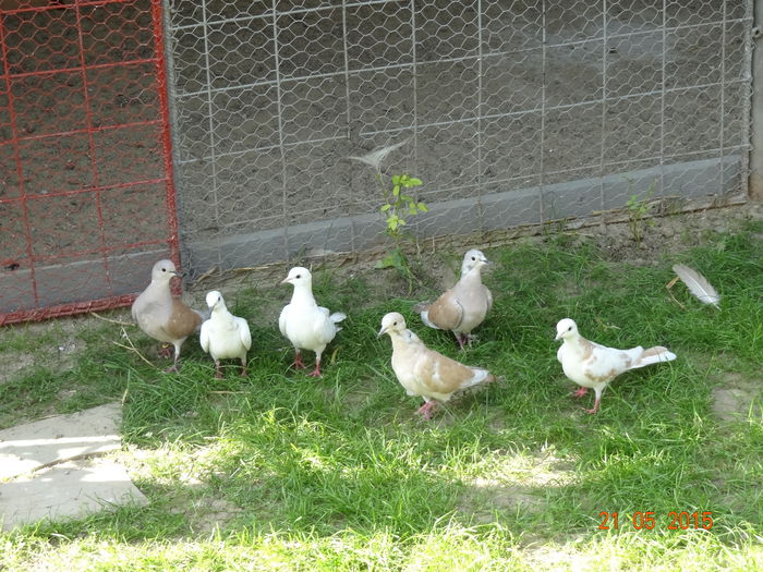 DSC08989