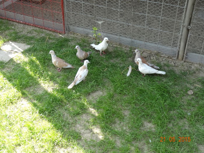 DSC08990