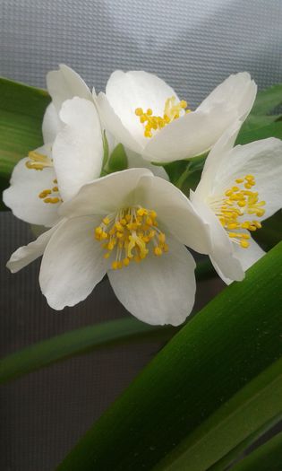 20150515_092932
