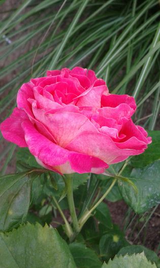 20150515_102715