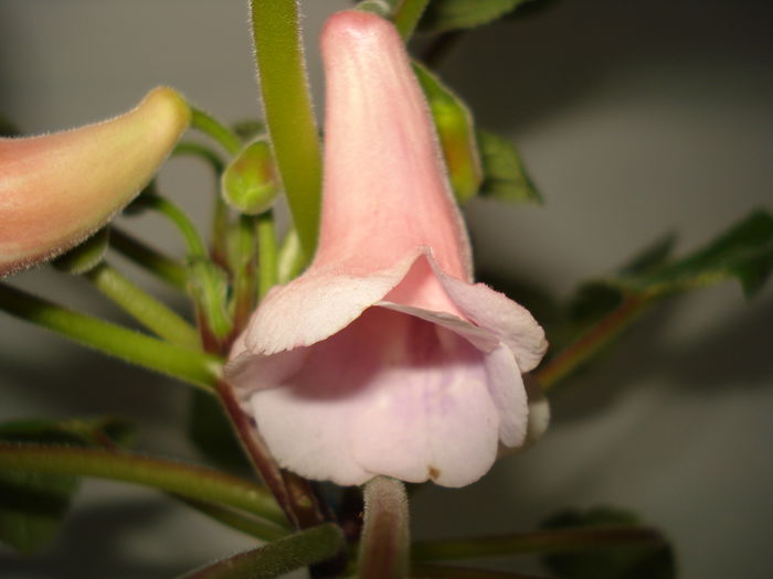 DSC01297
