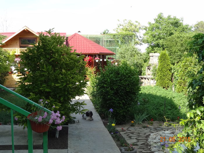 10 - P--GRADINA MEA