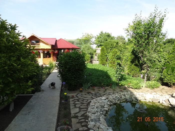 12 - P--GRADINA MEA