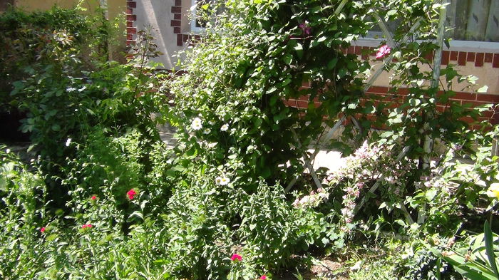 DSC02339 - mai 2015