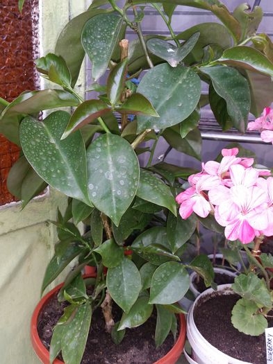 20150523_165634 - Mai 2015