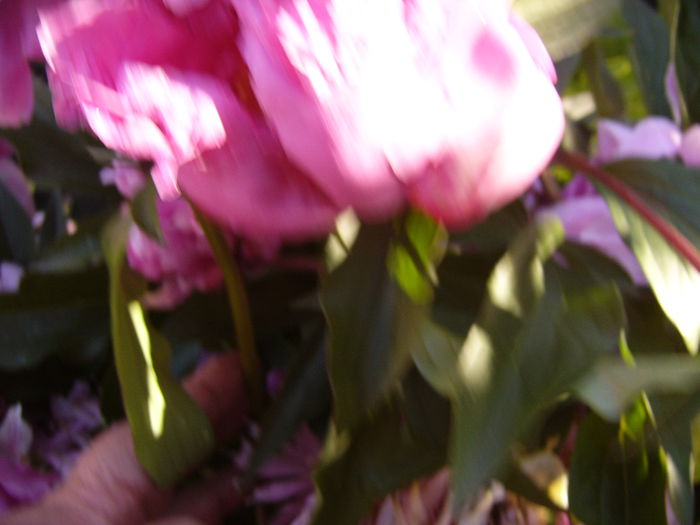 P1240317