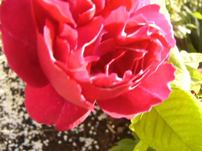 P1240324