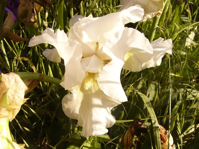 P1240327
