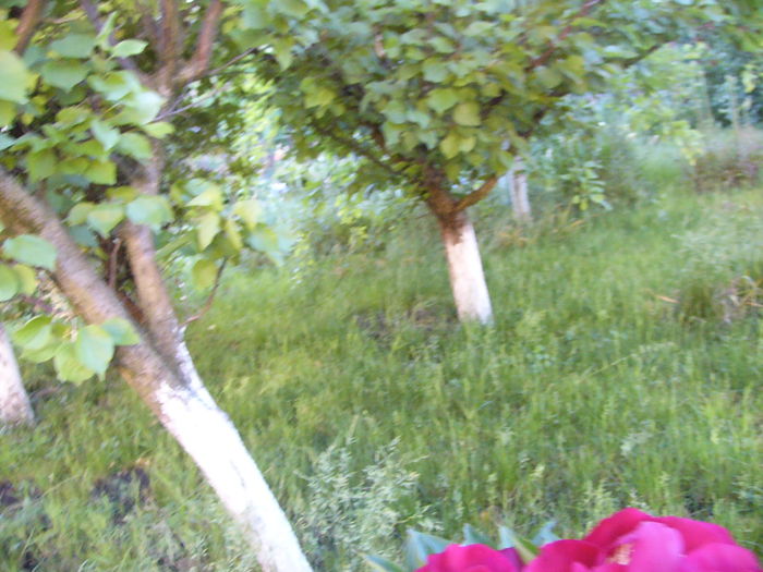 P1240335