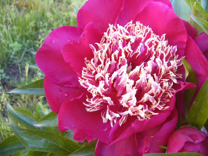 P1240336