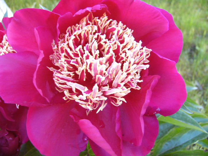 P1240338