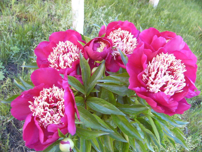 P1240340