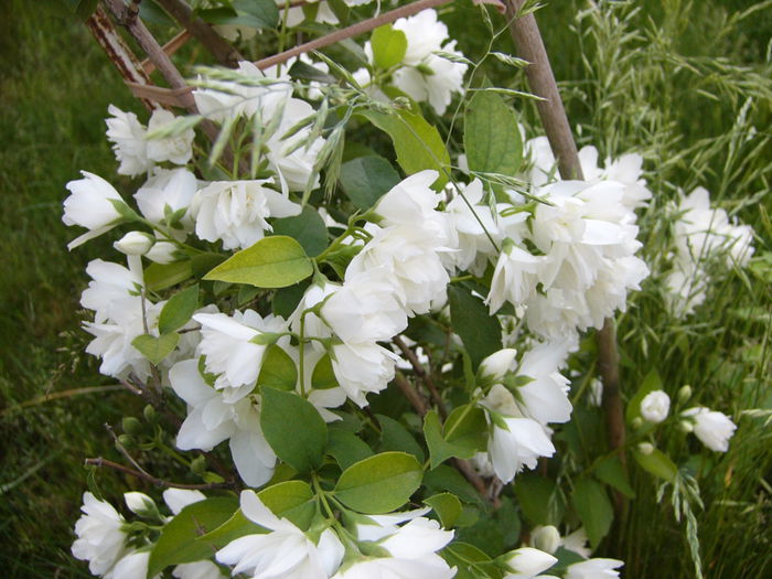 P1240343