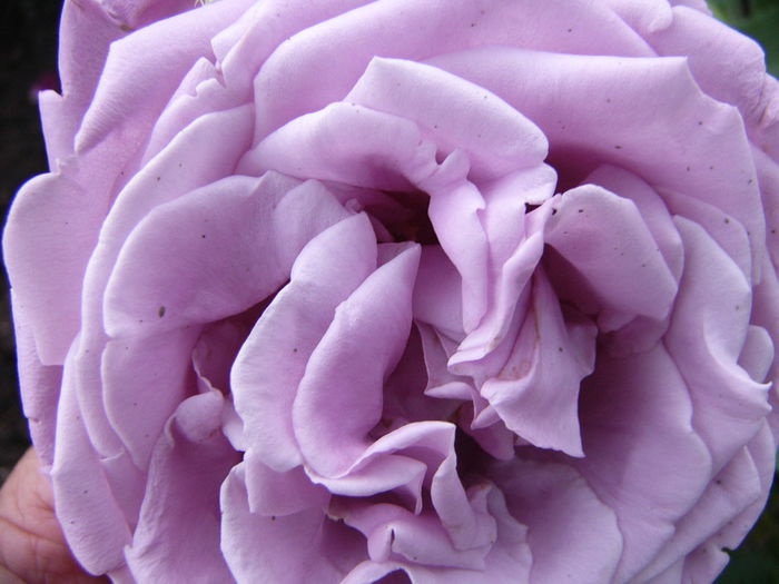 P1240351