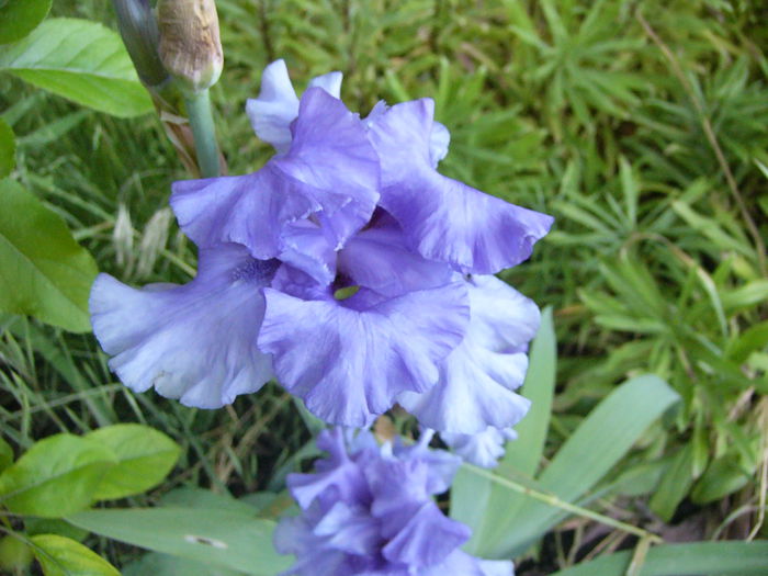 P1240354