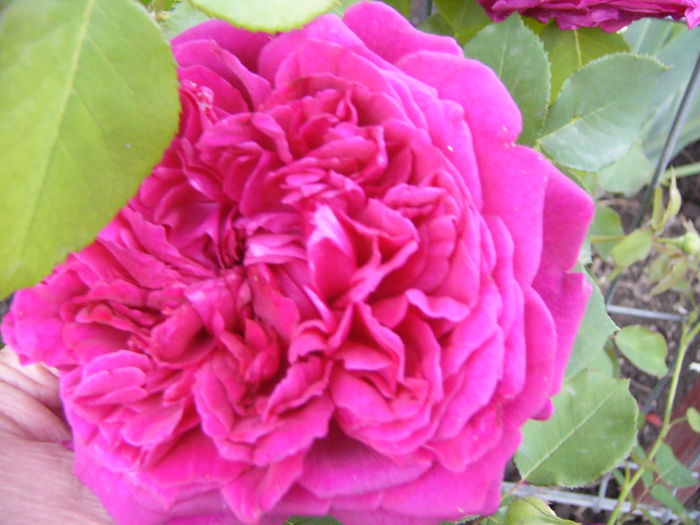 P1240364
