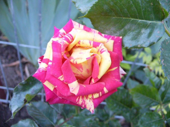 P1240370