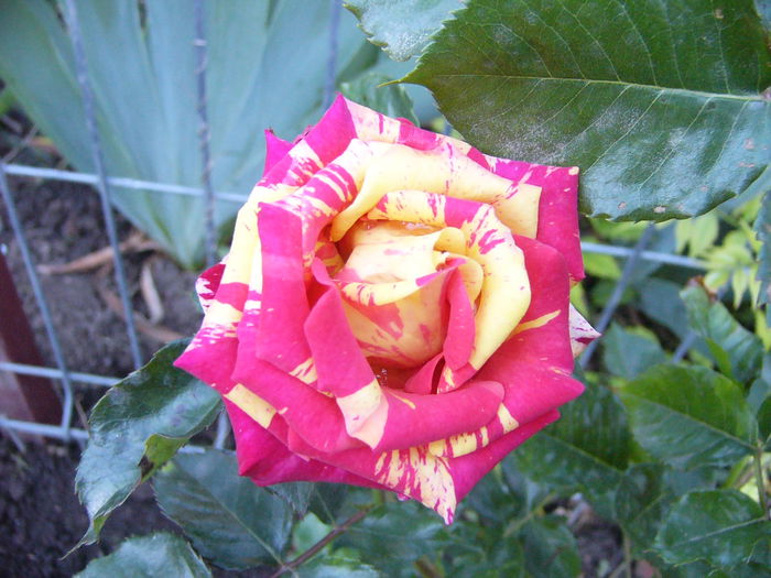 P1240371