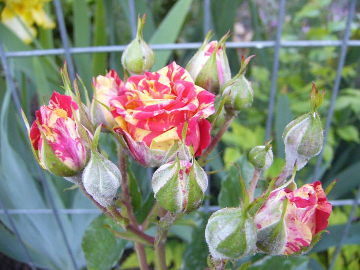 P1240372