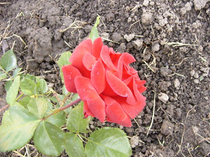 P1240380