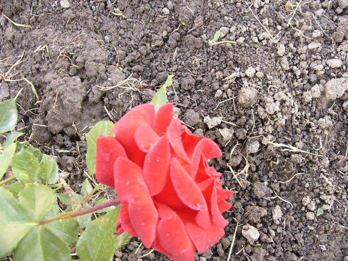 P1240381
