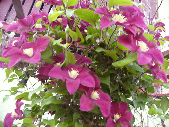 P1240393