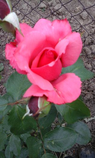 20150523_160126