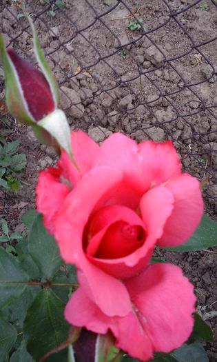 20150523_160128