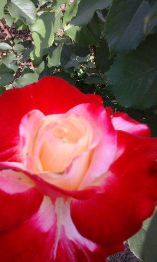 20150520_172643