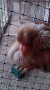 102957673_TKFFOOE[1]