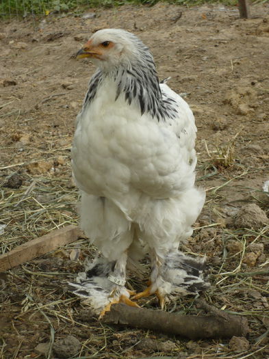 P1200370