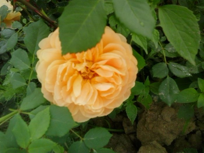 20150523_093019