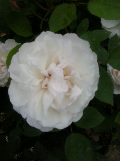 20150523_093214