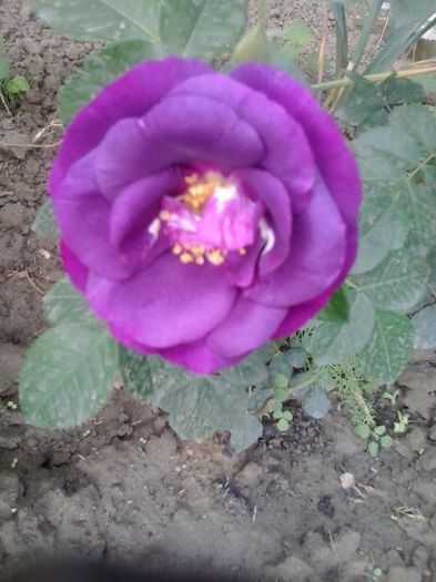 20150523_093540
