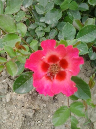 20150523_132016