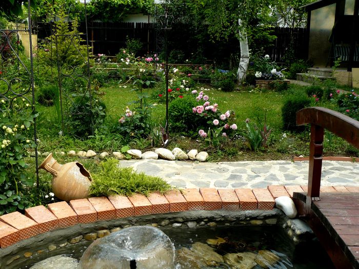 Iazul renovat - Gradina rozelor Mai 2015