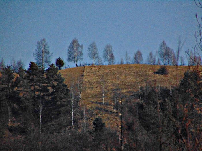 DSC05694