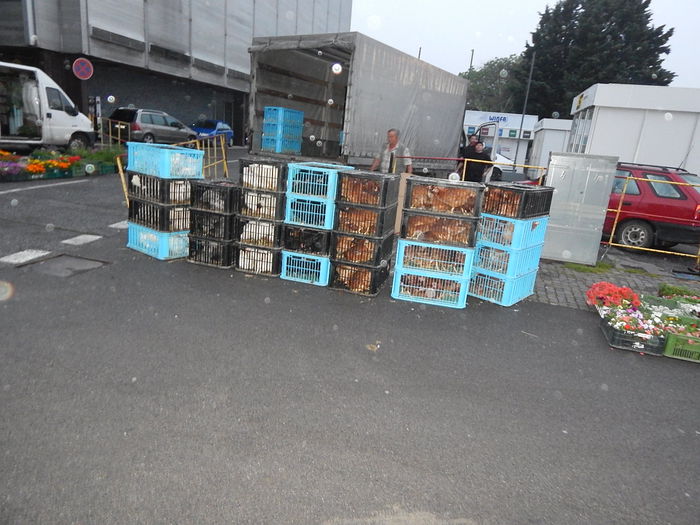 DSCN0792 - Targ Nitra 24-05-2015