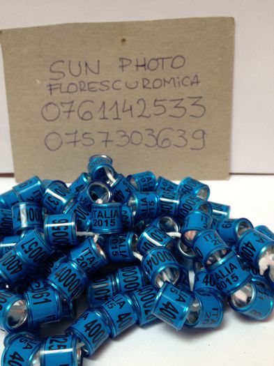 PictuInele Italia 2015