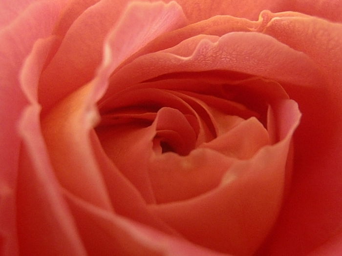 P5230210