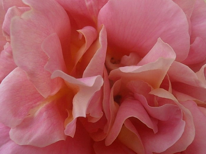 P5230213