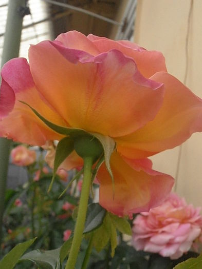 P5230220